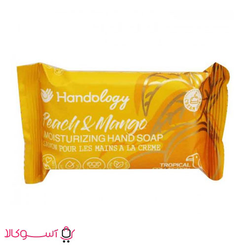 HANDOLOGY-Peaches-and-mangoes