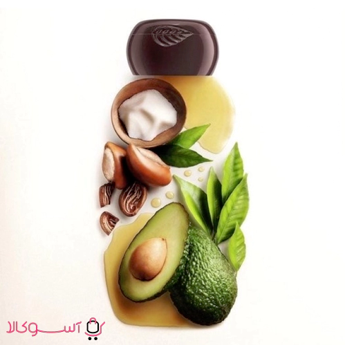 Garnier avocado shampoo1